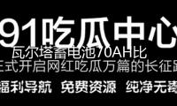瓦爾塔蓄電池70AH比亞迪S6速銳RAV4江淮瑞風(fēng)M3S5奔騰B50汽車電瓶