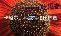 卡塔爾、科威特和巴林宣告從頭敞開(kāi)領(lǐng)空