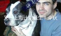 又一上海計劃誕生！今秋上海將向全球推介超大城市生態(tài)修正之道