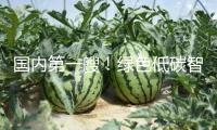 國內第一艘！綠色低碳智能甲醇雙燃料集裝箱船今天交給