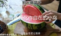 他隨音符化作自在的小鳥(niǎo)