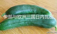 伊朗與歐洲三國日內瓦密談3小時：以方停火是交際處理條件