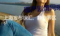 上海發(fā)布徐匯、靜安等區(qū)6幅地塊出讓公告，開(kāi)始價(jià)發(fā)布
