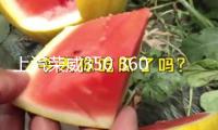 上汽榮威350 360 550 RX5 i5汽車同軸音響喇叭前后門改裝高重低音