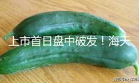 上市首日盤中破發(fā)！海天味業(yè)百億港元募資難解增加焦慮？補(bǔ)課國際化急尋“第二春”