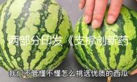 兩部分印發(fā)《支撐創(chuàng)新藥高質(zhì)量開展的若干辦法》