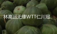 林高遠無緣WTT仁川冠軍賽男單四強 — 新京報