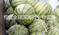 構建全球深海微生物資源庫，聯合國這項大科學方案全球總部設在上海