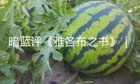 暗藍(lán)評(píng)《雅各布之書》｜照亮前史，然后治好世人