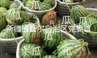 新疆維吾爾自治區黨委首要負責同志職務調整，陳小江任新疆維吾爾自治區黨委書記