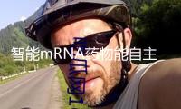智能mRNA藥物能自主調整效果，敞開精準醫(yī)學新窗口