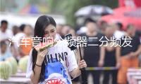 汽車音響分頻器二分頻發(fā)燒級車載大功率喇叭高低中分音頻改裝車用