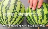 孫譽(yù)綺：我國助力非洲，應(yīng)對西方“教育斷糧”
