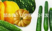 鄒志強(qiáng)：以伊抵觸會(huì)引發(fā)一場石油危機(jī)嗎？