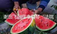 謝田飛回應李雪琴“法院見”：為什么反訴我泄密？