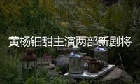 黃楊鈿甜主演兩部新劇將開播，天價耳環(huán)相關疑問咋還沒定論