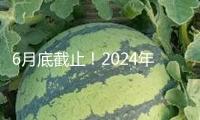 6月底截止！2024年度個(gè)稅匯算抓住辦 攻略來了→